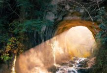 Inspiration : Chiba, Japon