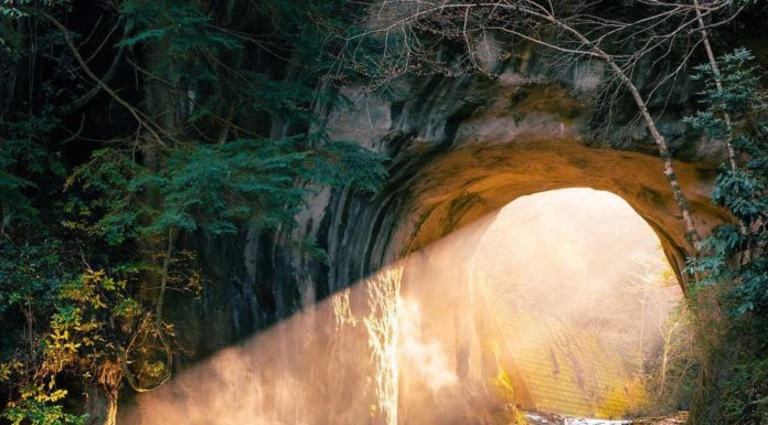 Inspiration : Chiba, Japon