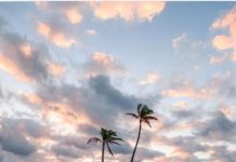 Inspiration : Oahu. Photo: @braedin #wanderlog …