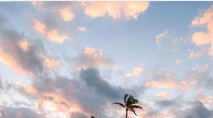 Inspiration : Oahu. Photo: @braedin #wanderlog …