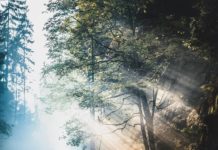 Inspiration : Hrensko