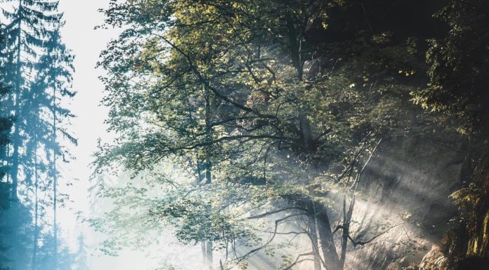 Inspiration : Hrensko