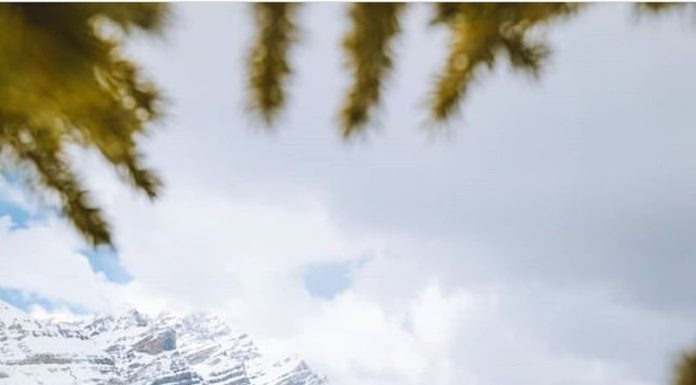 Inspiration : Canada. Photo: @elbunt #wanderlog …