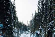 Inspiration : Photo: @snickersv #wanderlog …