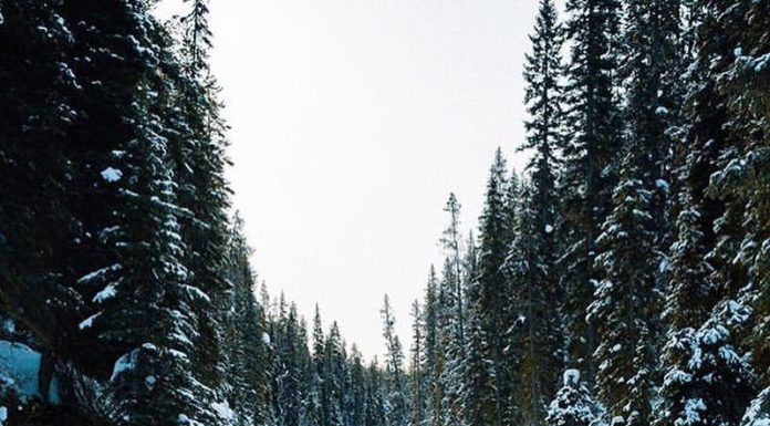 Inspiration : Photo: @snickersv #wanderlog …