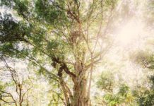 Inspiration : Tanzanie