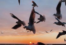 Inspiration : Odessa, Ukraine