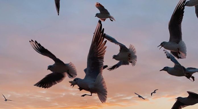 Inspiration : Odessa, Ukraine