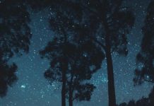 Inspiration : Zone de conservation de la rivière Princess