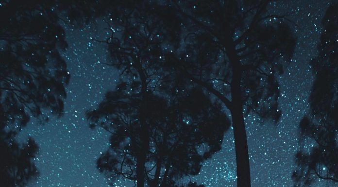 Inspiration : Zone de conservation de la rivière Princess