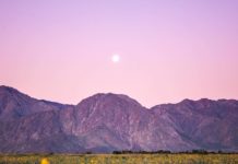 Inspiration : Parc d'État du désert d'Anza-Borrego
