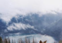 Inspiration : Mt. Sommet des roses