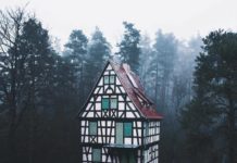 Inspiration : Forêt hantée