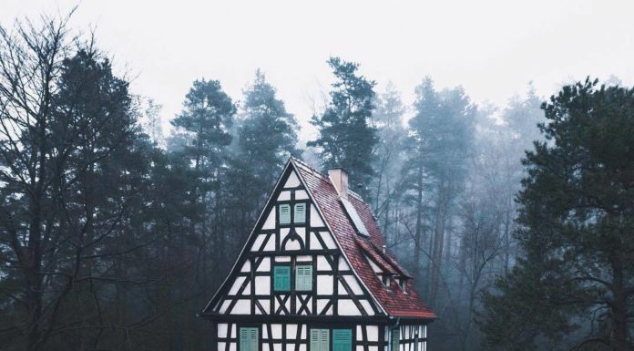 Inspiration : Forêt hantée