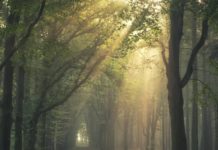 Inspiration : Enschede, Pays-Bas