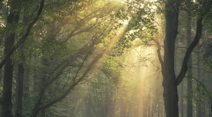 Inspiration : Enschede, Pays-Bas