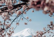 Inspiration : Mont Fuji