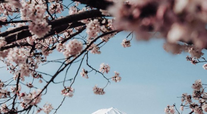 Inspiration : Mont Fuji
