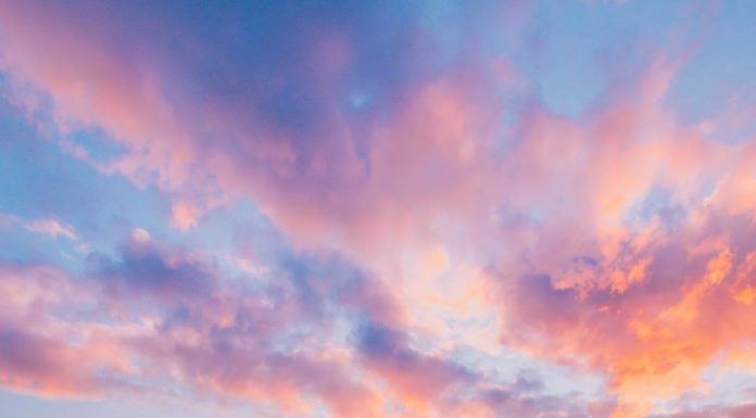 Inspiration : Nord-ouest pacifique