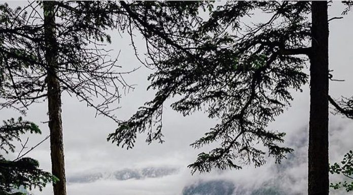 Inspiration : Photo: @ imperfec1ion #wanderlog …