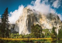 Inspiration : Parc National de Yosemite