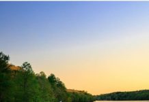 Inspiration : Photo: @idletheorybus #wanderlog …