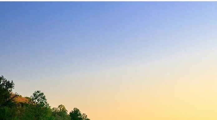 Inspiration : Photo: @idletheorybus #wanderlog …