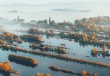 Inspiration : Pays-Bas. Photo: @lennart #wanderlog …