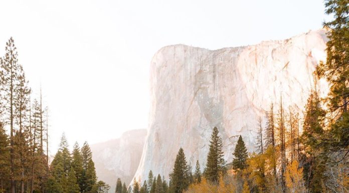 Inspiration : Parc National de Yosemite
