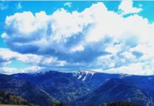 Inspiration : Photo: @kleiner_schwarzwald #wanderlog …