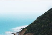 Inspiration : Photo: @ larkville.art #wanderlog …