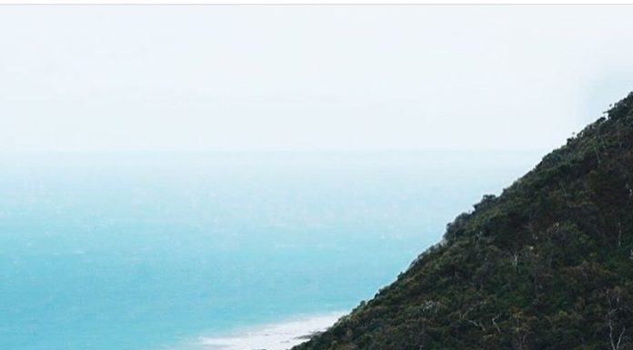 Inspiration : Photo: @ larkville.art #wanderlog …