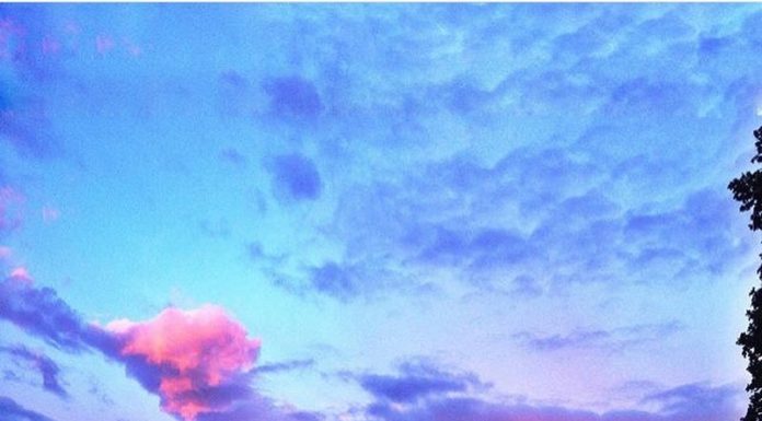 Inspiration : Photo: @ larkville.art #wanderlog …