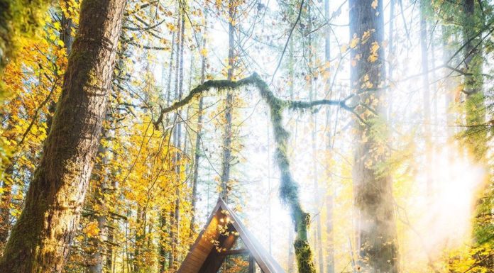 Inspiration : Skykomish, Washington