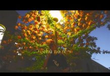 Inspiration : Vidéo