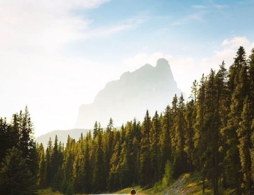 Inspiration : Bow Valley Parkway