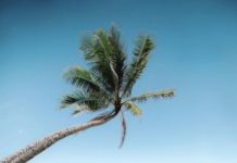 Inspiration : Oahu, Hawaii