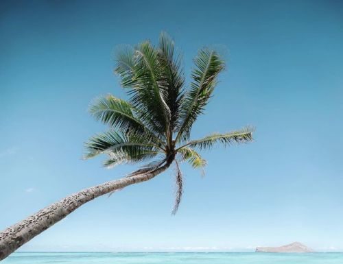 Inspiration : Oahu, Hawaii