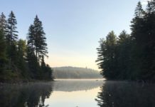 Inspiration : Parc Algonquin, Ontario
