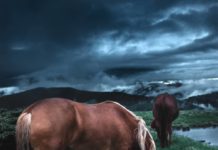 Inspiration : Копункт Рогнеска