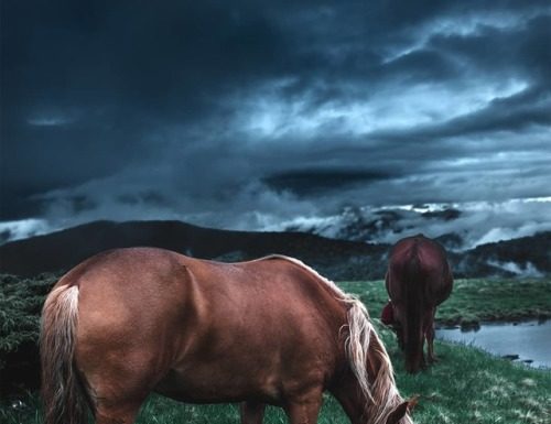 Inspiration : Копункт Рогнеска