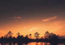 Inspiration : Kõnnu Suursoo