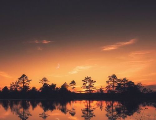 Inspiration : Kõnnu Suursoo