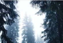 Inspiration : Photo: @ big_6pat #wanderlog …