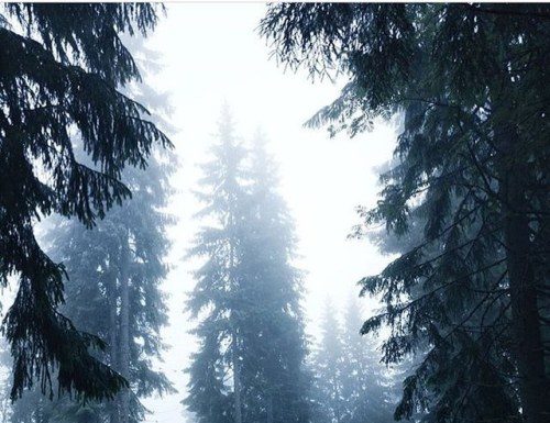 Inspiration : Photo: @ big_6pat #wanderlog …