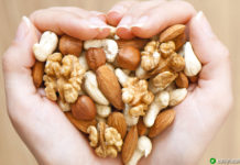 Are Brazil nuts and macadamia nuts the same? Are Brazil nuts and macadamia nuts the same?