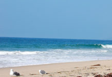 Are California beaches warm? Are California beaches warm?