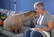 Are Fiji people friendly? Are Fiji people friendly?