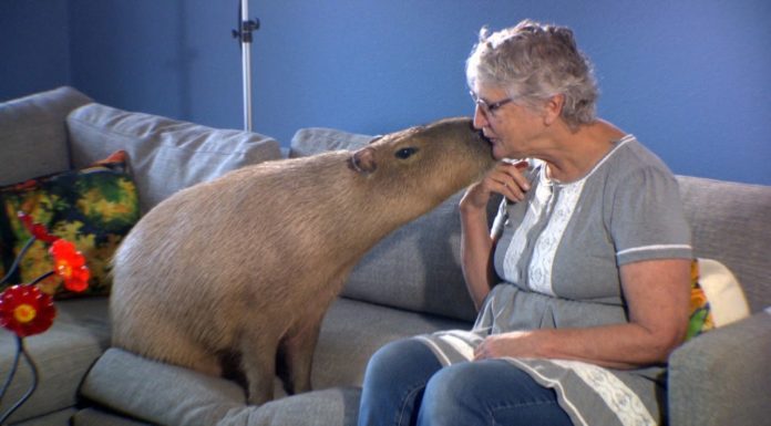 Are Fiji people friendly? Are Fiji people friendly?