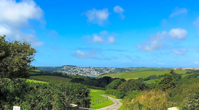 Are dogs allowed in English market Cork? Are dogs allowed in English market Cork?